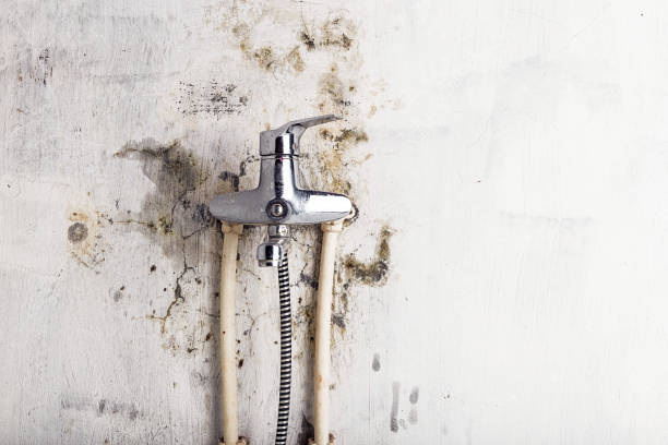 Best Industrial Mold Remediation in Keyes, CA